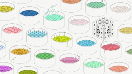 Новая форма вещества может быть за пределами периодической таблицы Новая форма вещества может быть за пределами периодической таблицы
